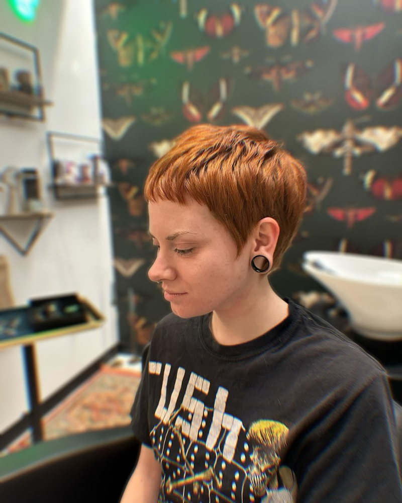 Haircuts Vary In Price