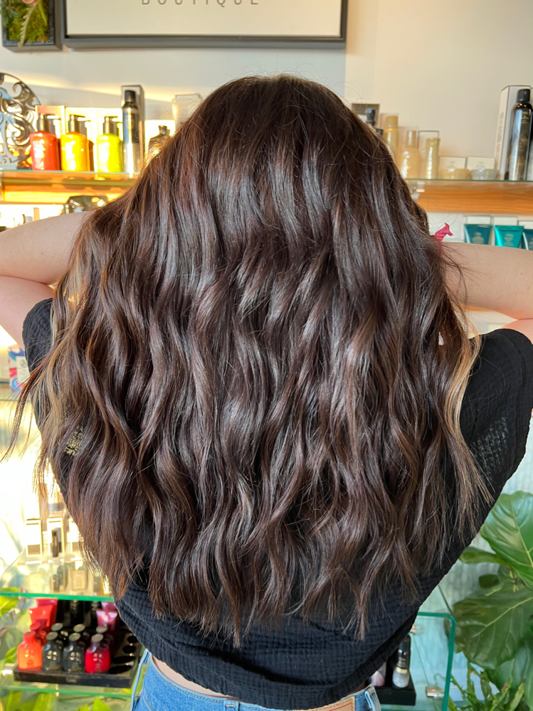 Curl Bar
