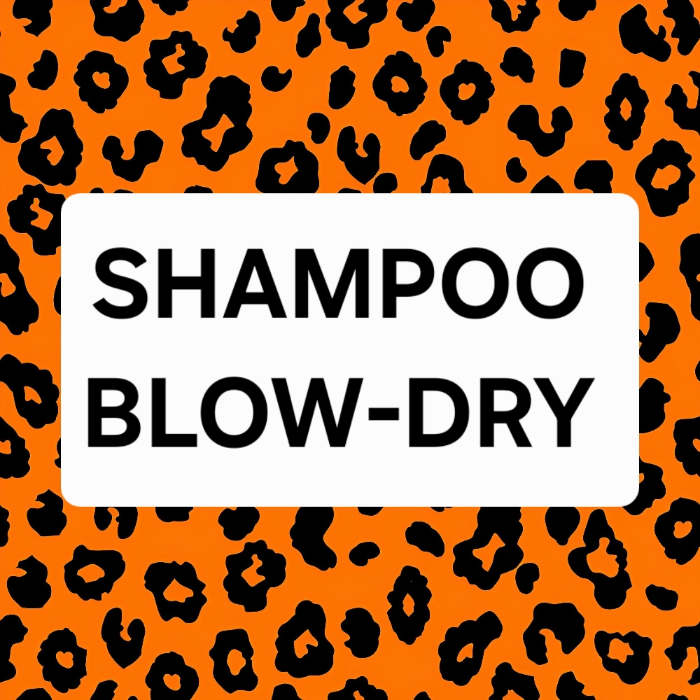 Shampoo Blow-dry ($55) at WILDCAT HAIR STUDIO in San Diego, CA