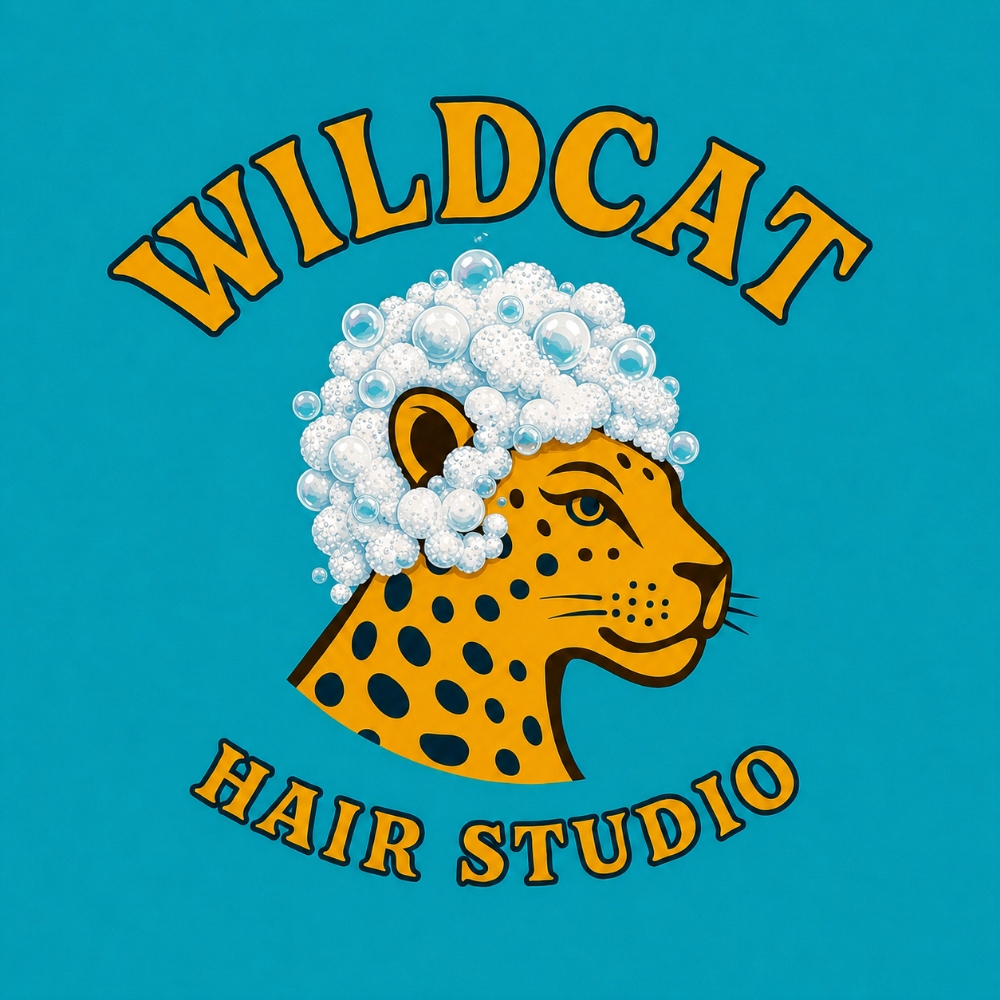 Shampoo Blow-dry ($55) at WILDCAT HAIR STUDIO in San Diego, CA