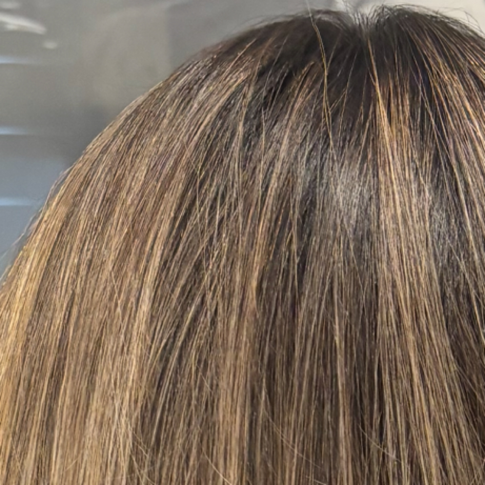Dimensional Highlights/ Balayage at ShabbyCuts222 in Campbell, CA