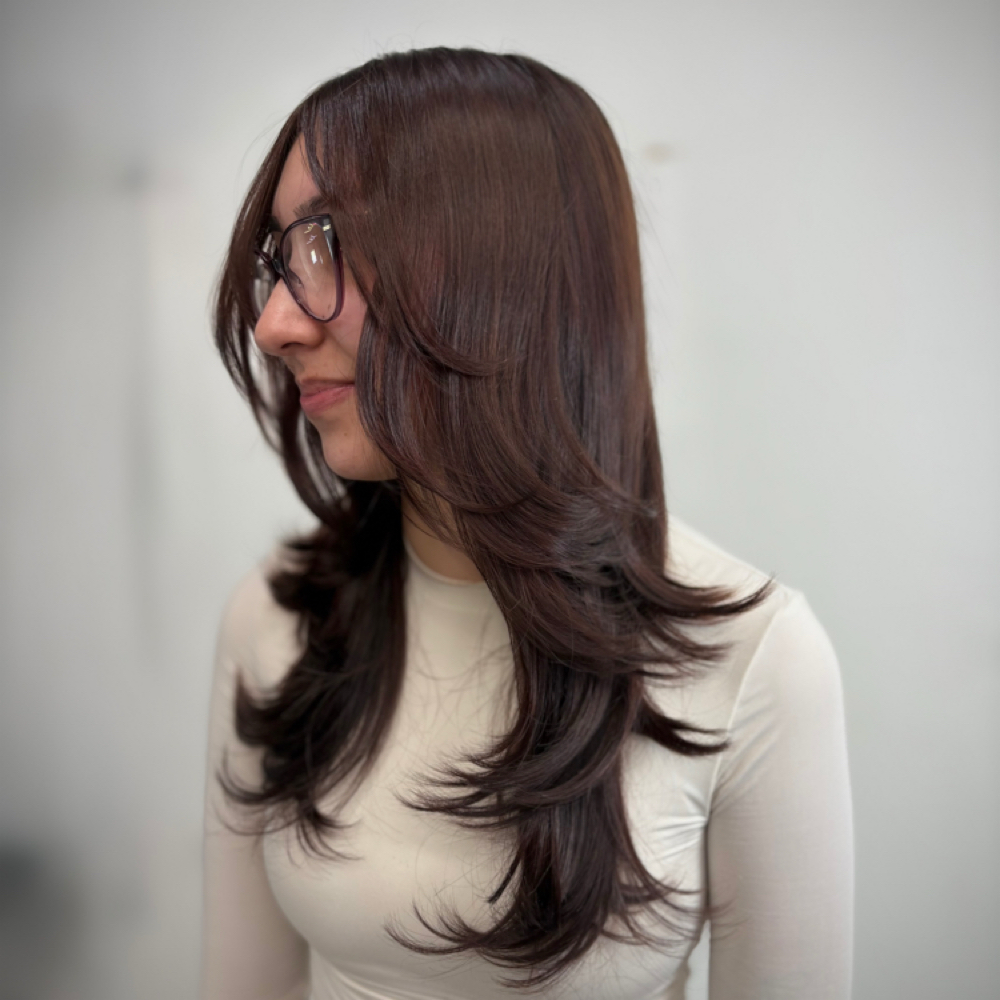 Luxury Layered Haircut & Style at Hairology.byalicia in Wyoming, MI