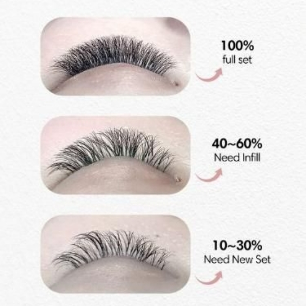 Lash Fills 75 Min (2wk)