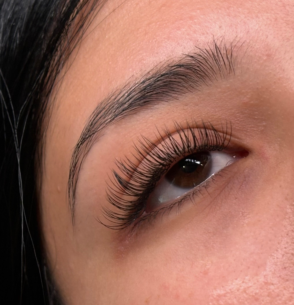 Classic Eyelashes