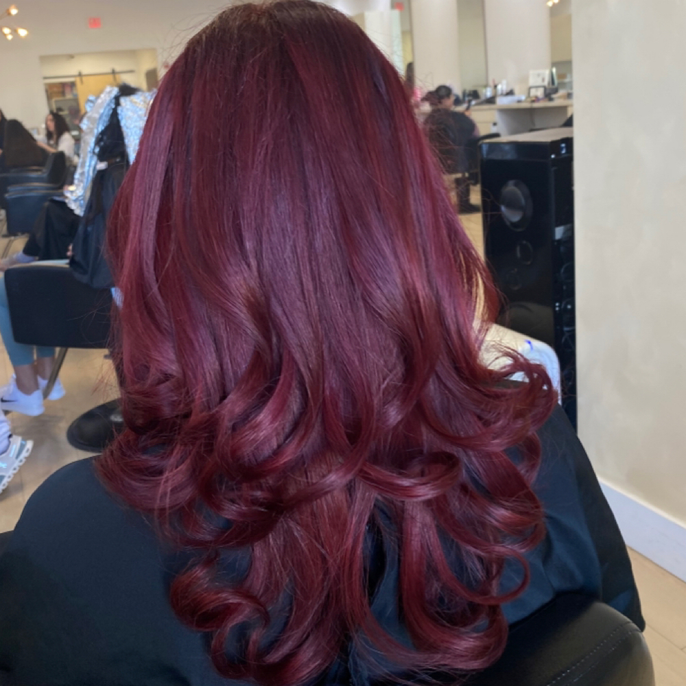 All Over Color at Modemia salon in Arlington, TX