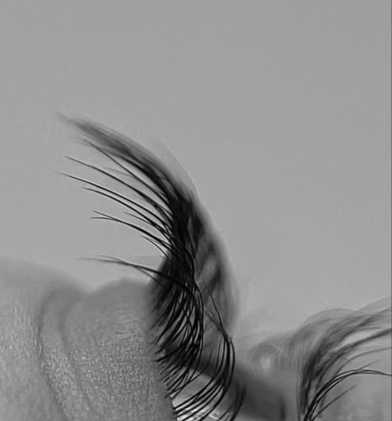 Lash Lift & Tint