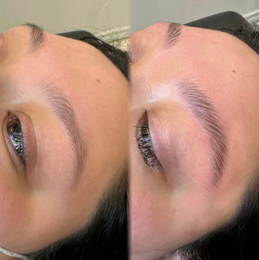 brow tint + wax