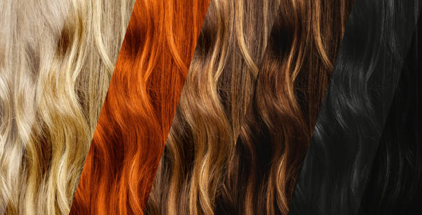 Glazing All Over (shoulder Length)