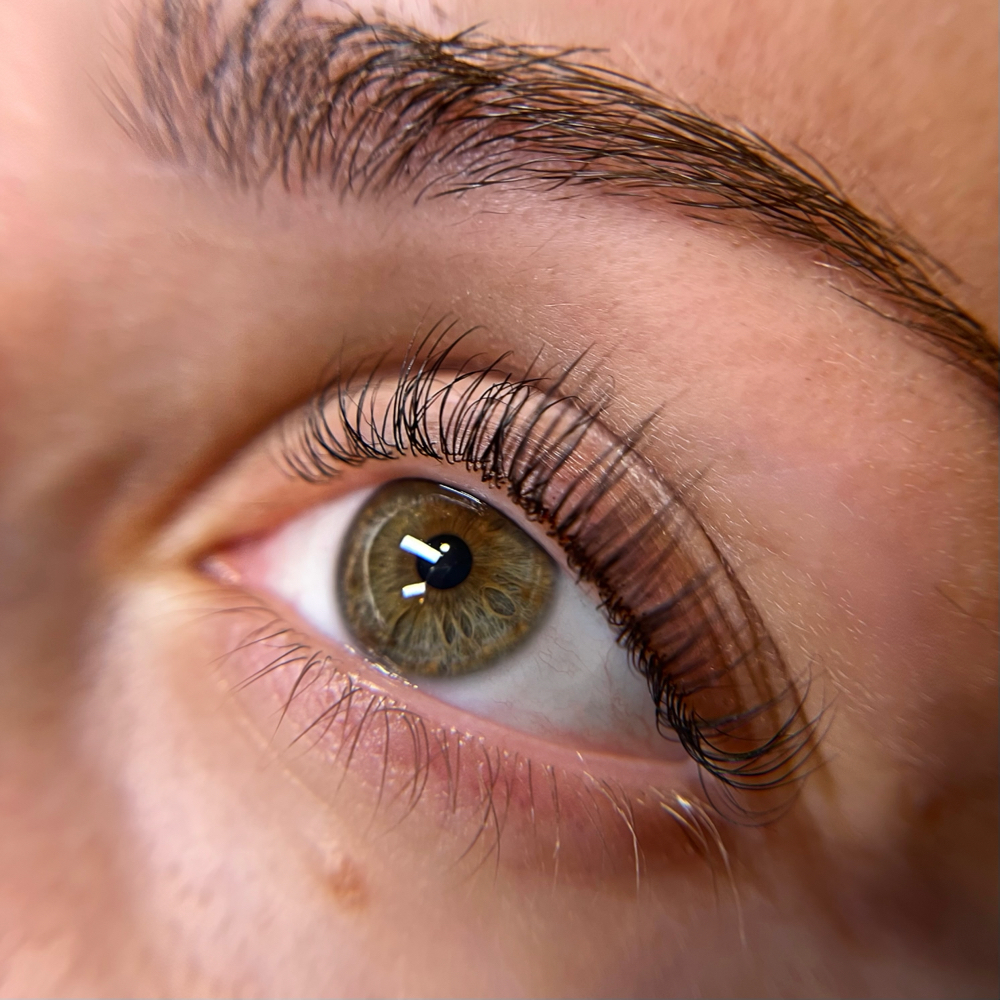 Lash Lift & Tint at Lashes By Olivia Grace in Plano, TX