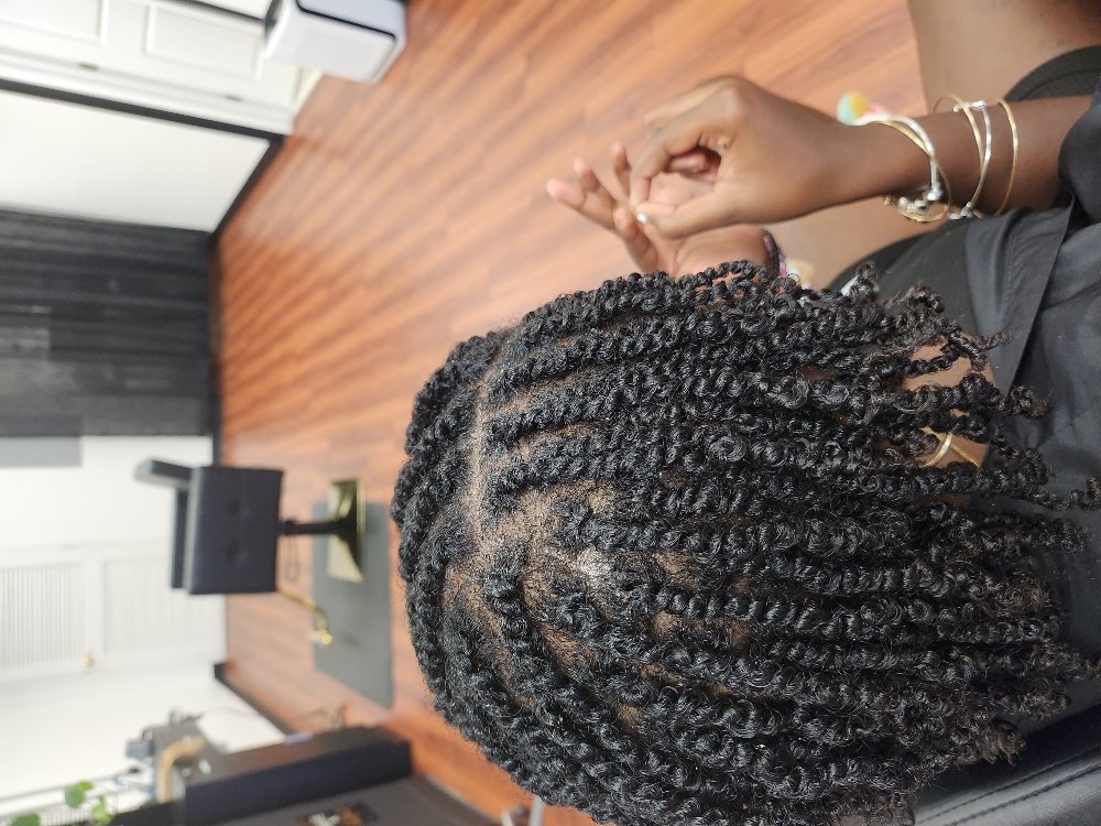 2 Strand Twist
