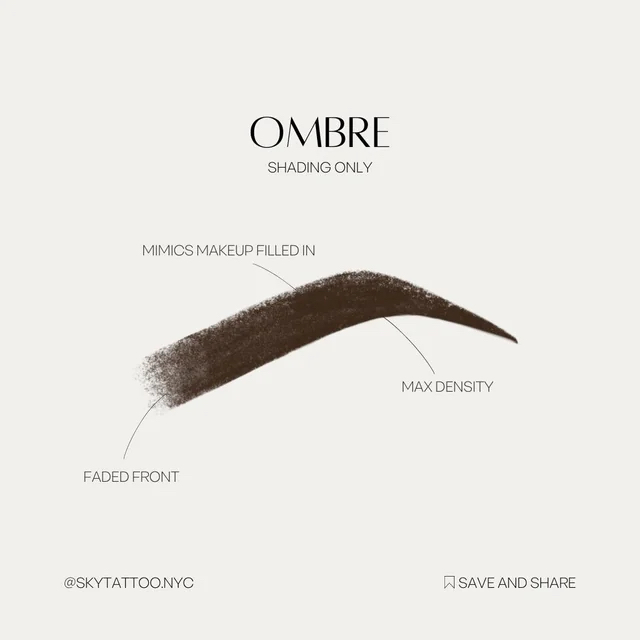 Ombre Powder (shading only)