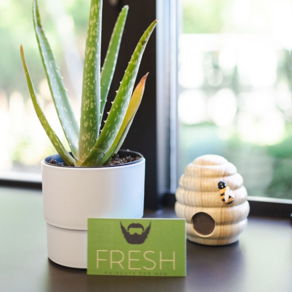 Men's Haircut at FRESH in Brookfield, WI