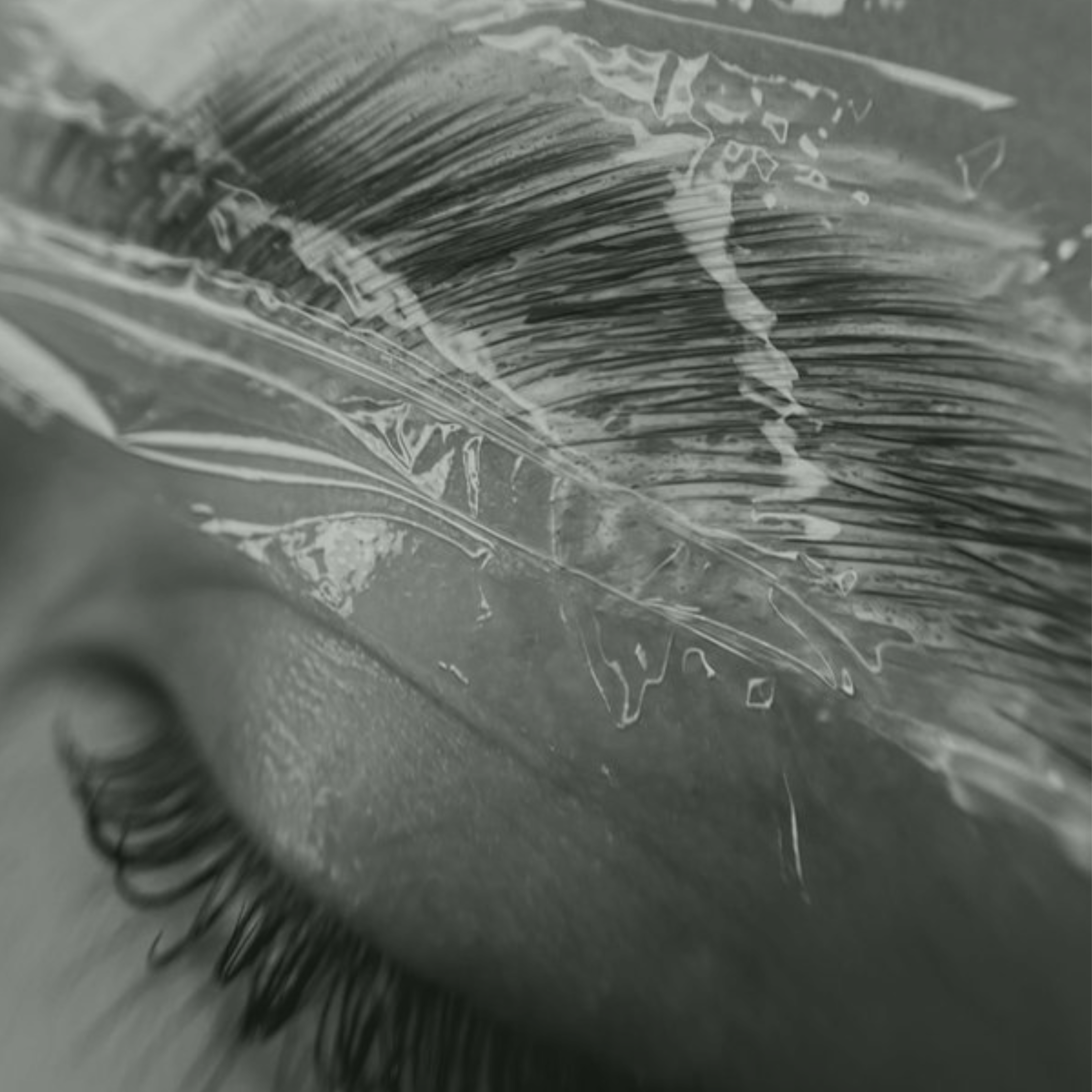 MODEL CLIENT BROW LAMINATION