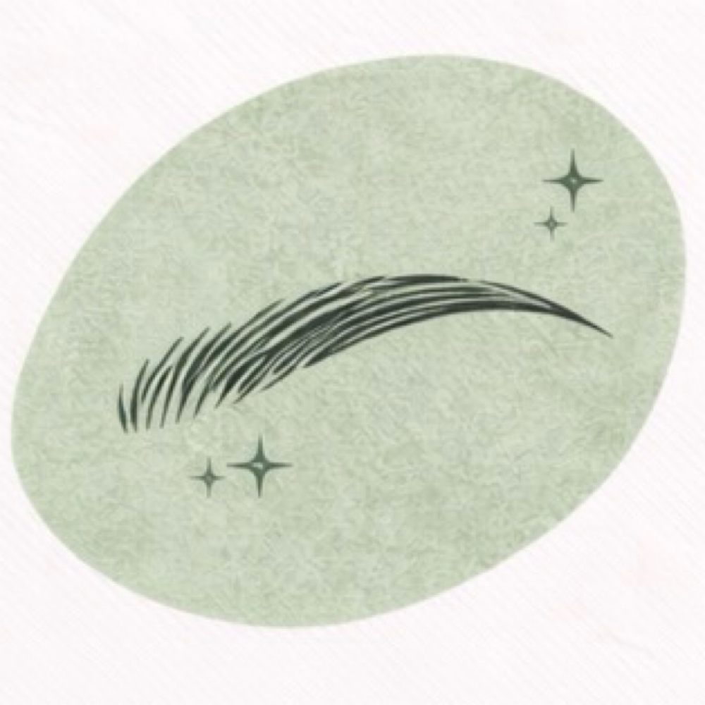 Brow Henna With Mapping + Wax at LUXskin in Carnegie, PA