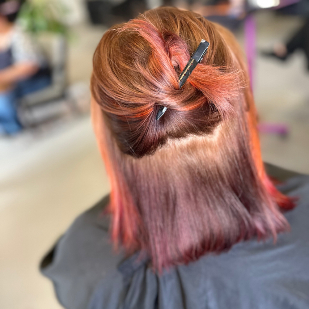 Dry Haircut at Expressions Salon & Studio in Anniston, AL