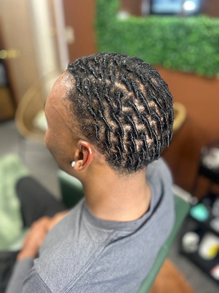 Comb Coil Starter Locs