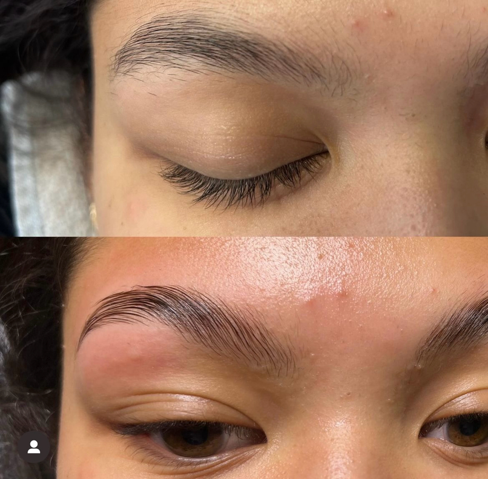 Eyebrow Lamination