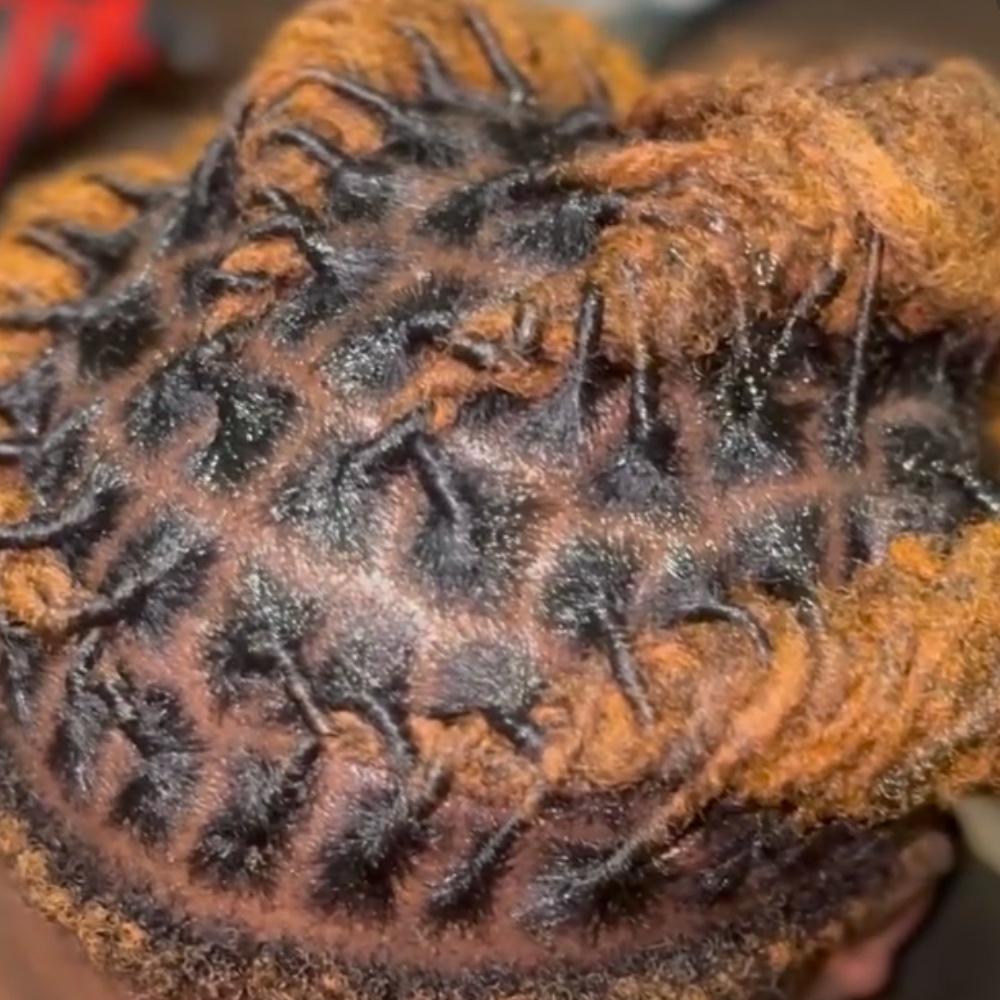 Retwist at Stylestudios in Houston, TX