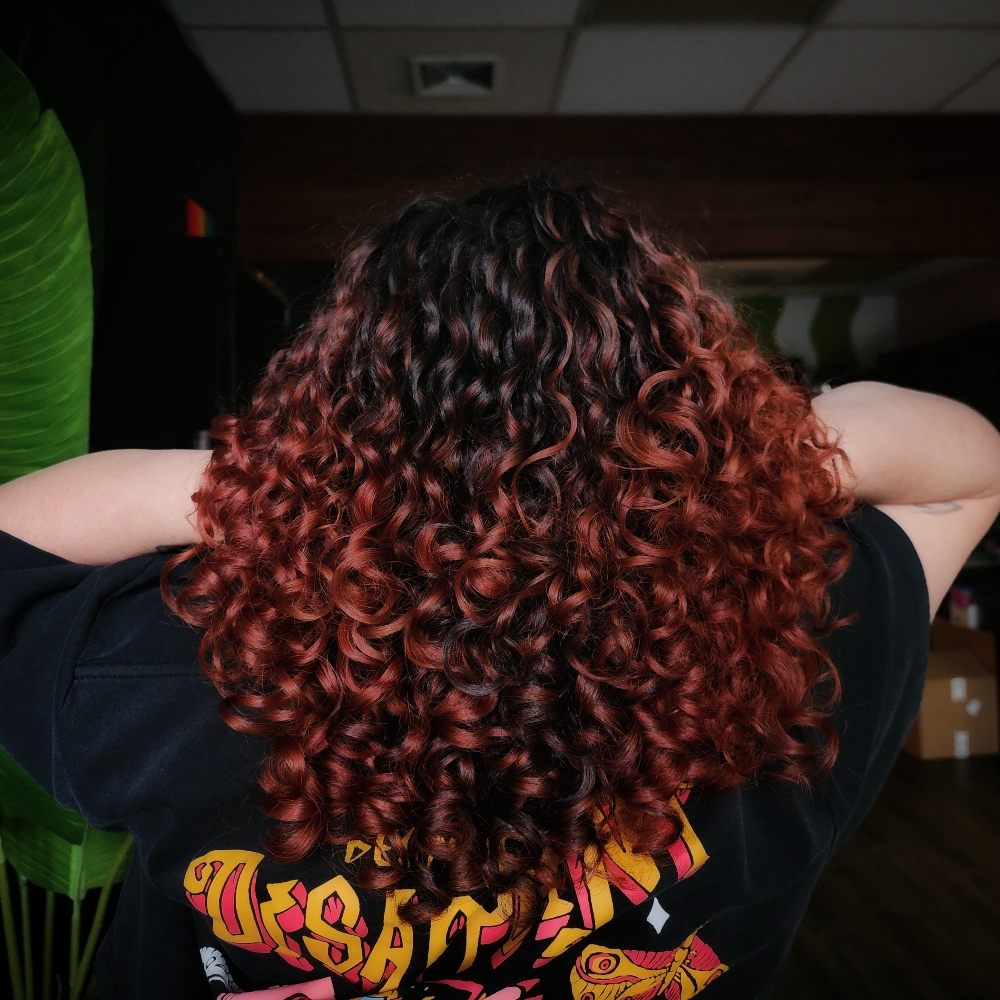 Color consultation