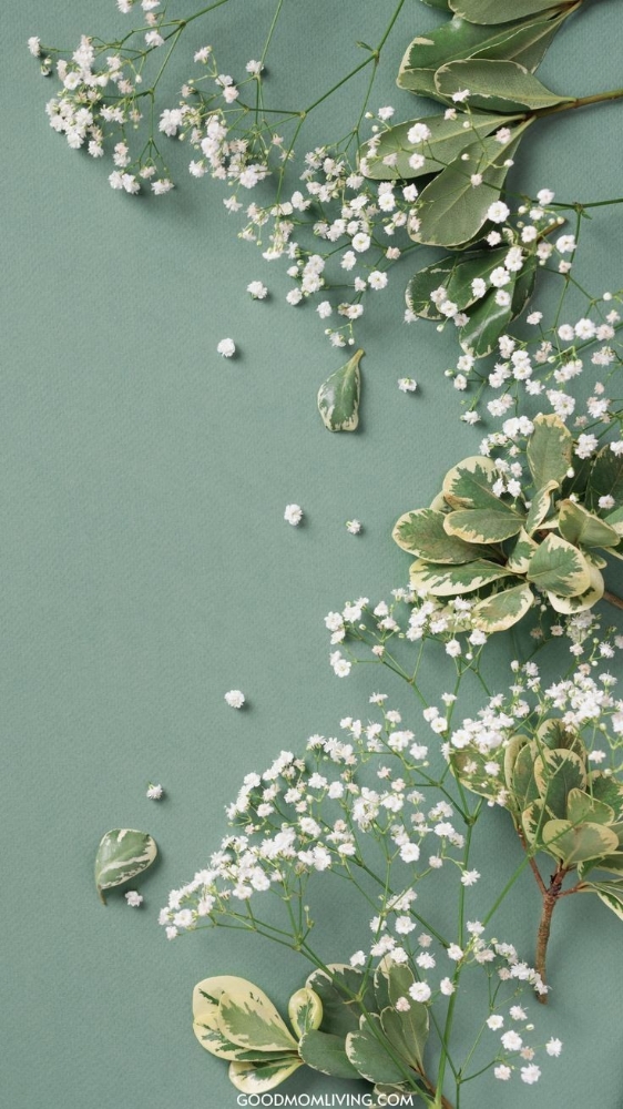 PartialFoil w/RootTouchUp w/Haircut