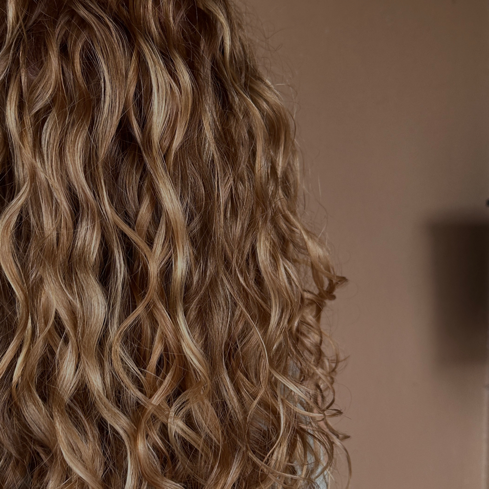 The Curl Awakening  𖦹MAINTENANCE𖦹