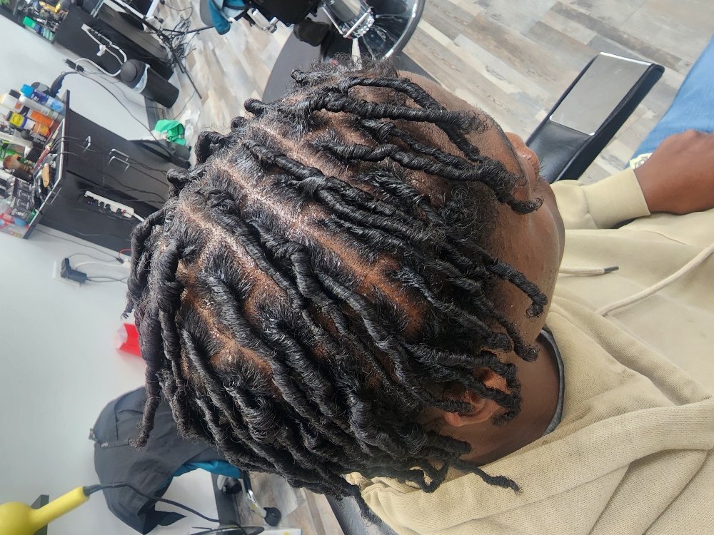 Starter Locs