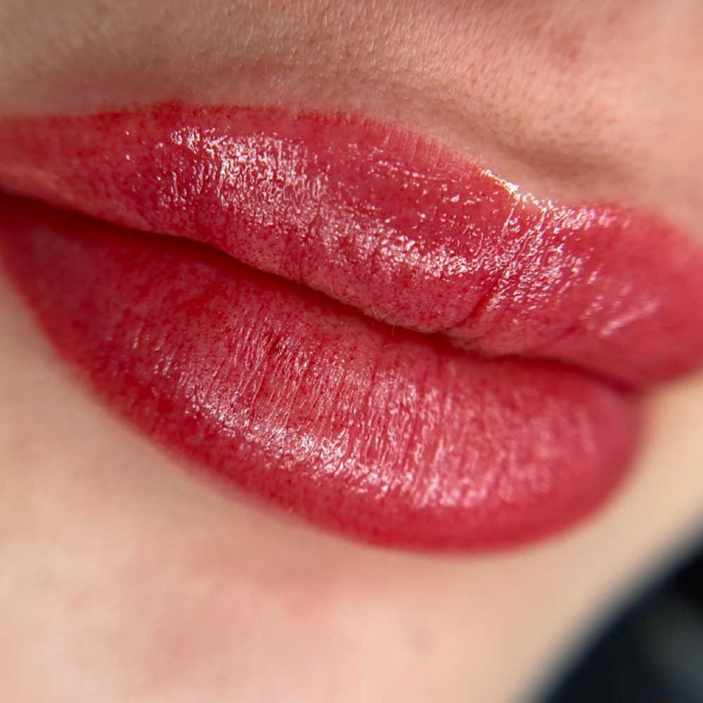 Lip Blush at Custom Brows & Glam Studio in Jupiter, FL