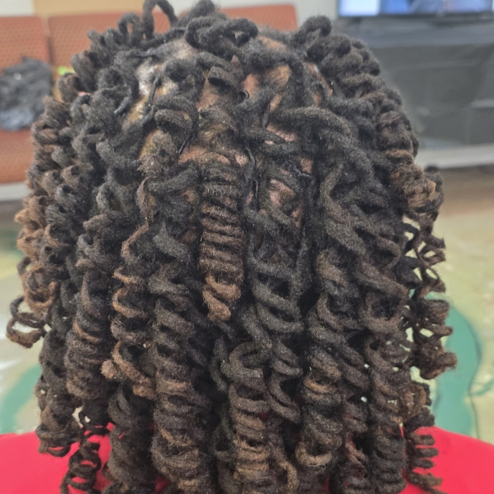 Deluxe Loc Styles at Amazing Kinkz in Detroit, MI