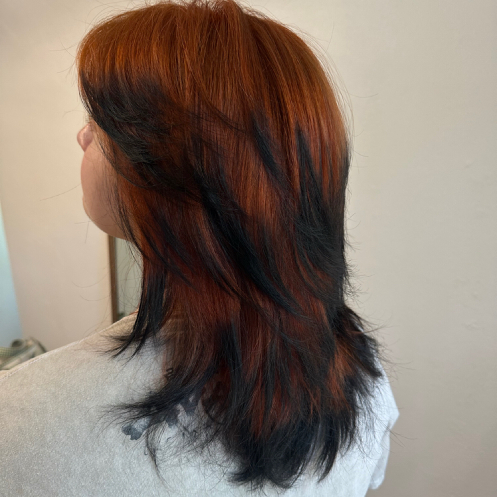 2.5 Hour Color Service at Jordan the Hair Fairy in Tallahassee, FL