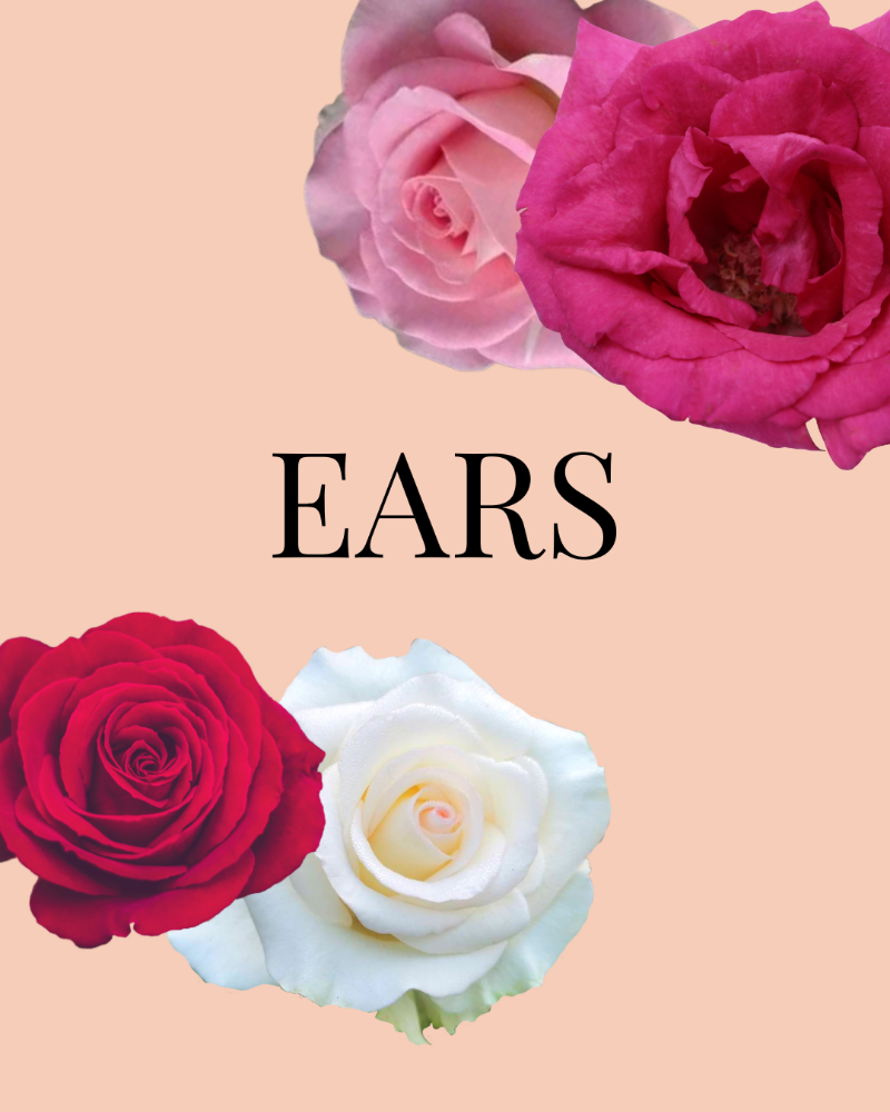 EARS