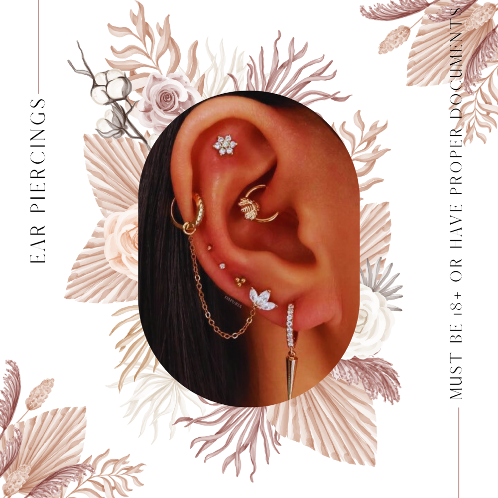 Conch (Pair)