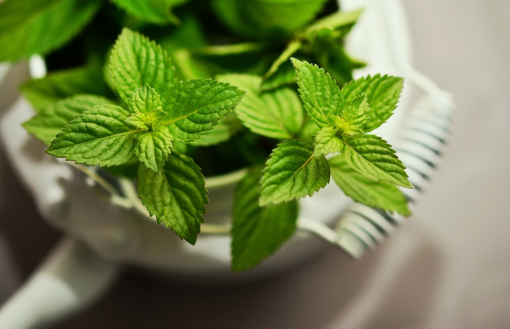 Peppermint Pedicure Incl Paraffin