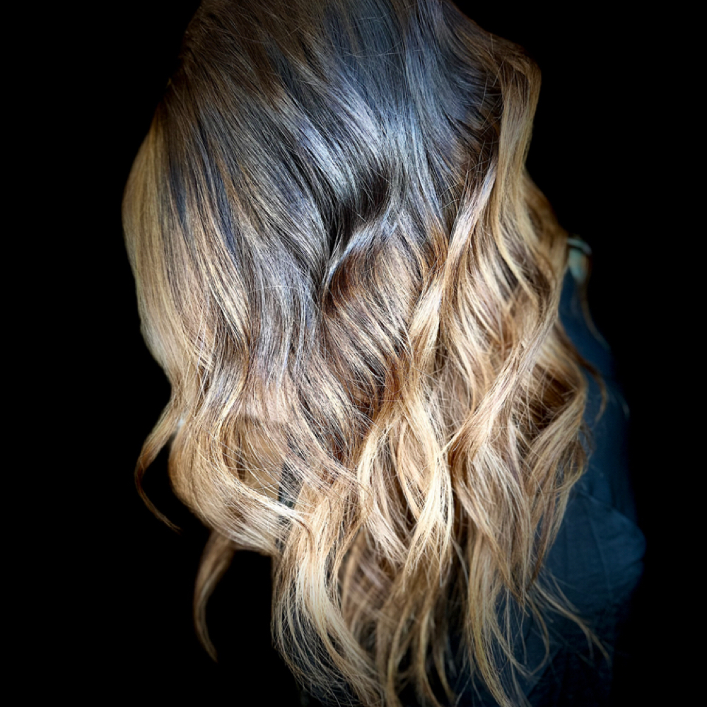 Baseshade at The Hair Room in Fort Collins, CO