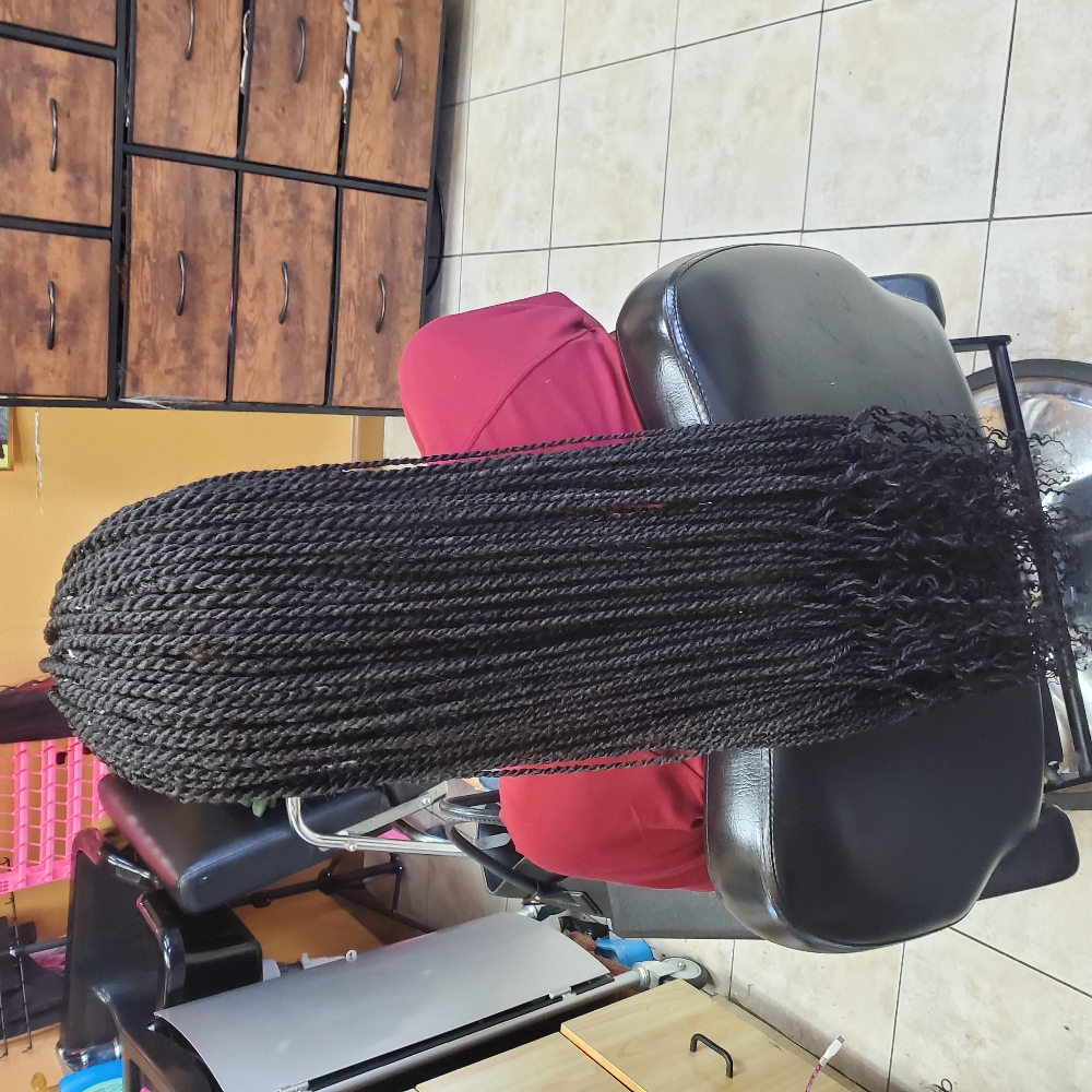 Rasta Braids