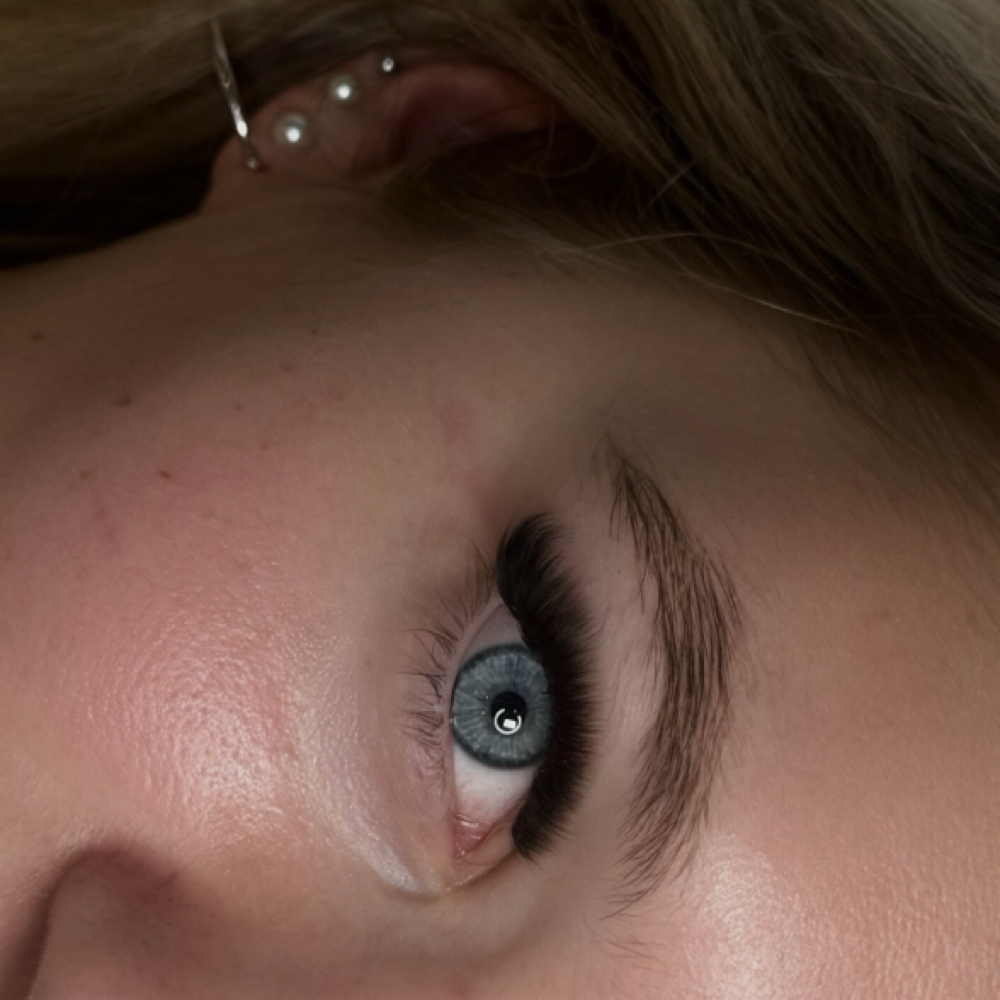 Volume Set at .A. Blooming Beauty in Albany, NY