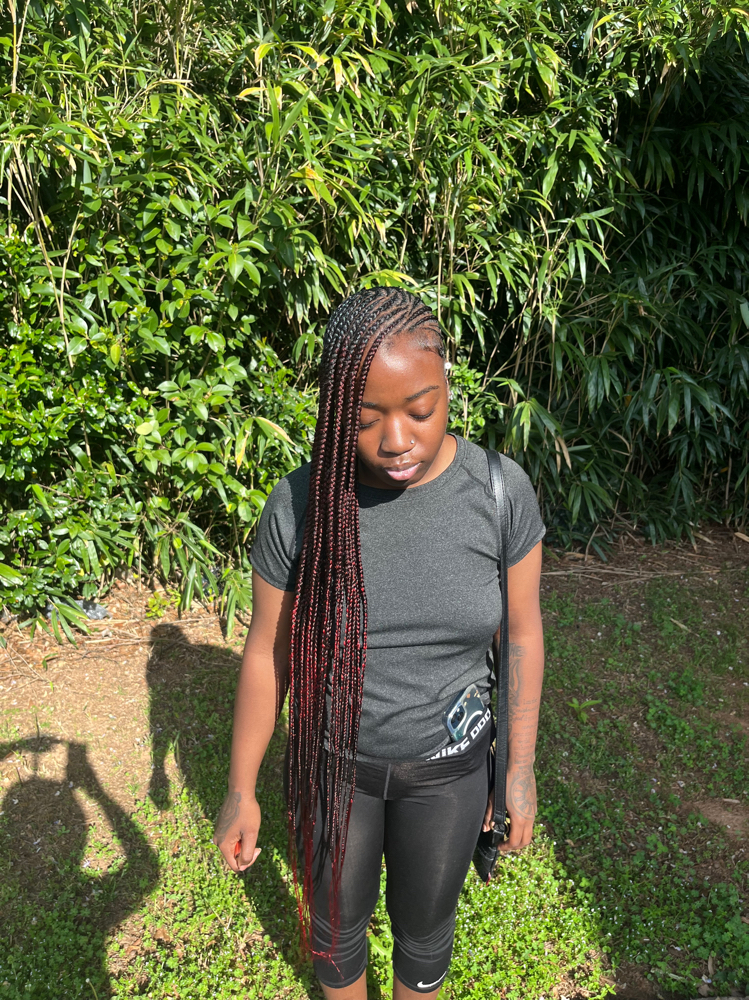 Regular Small Lemonade Braids
