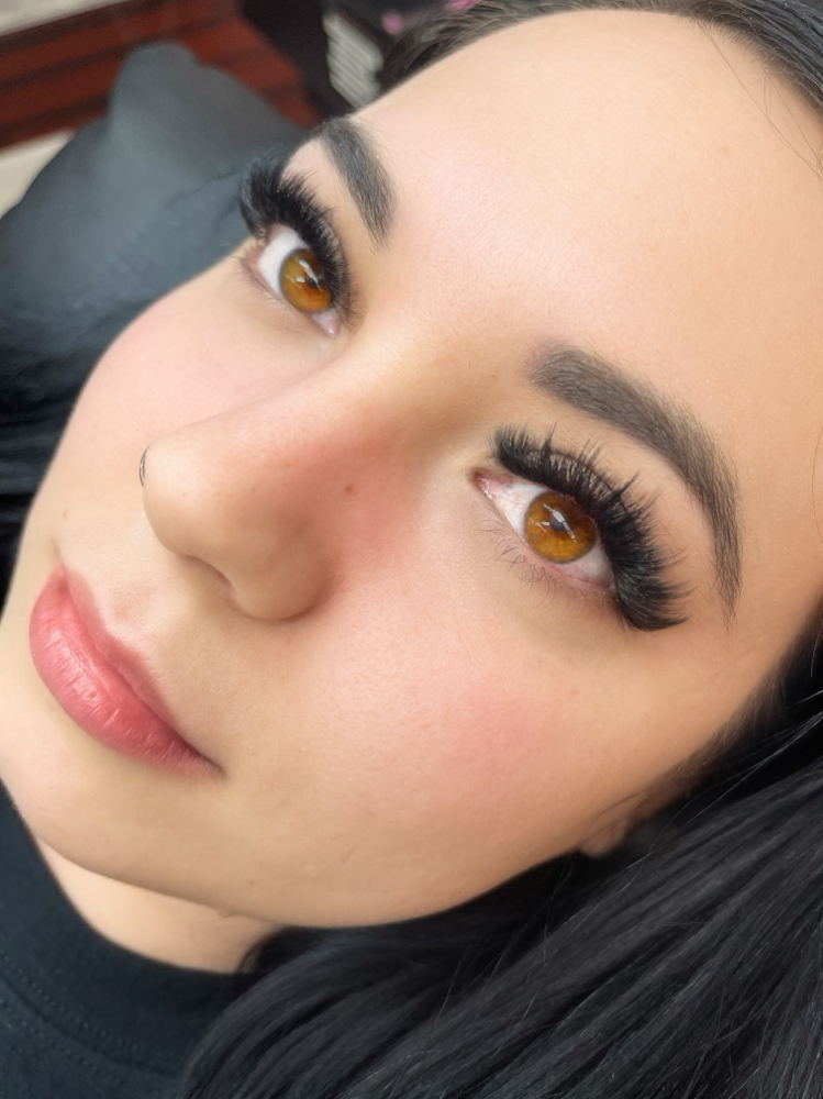 Regular Lash Fill