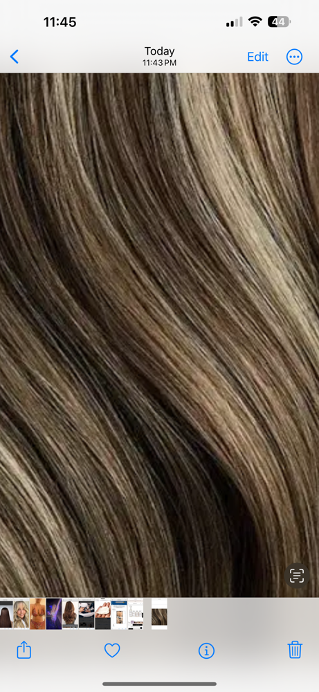 Partial head of lowlights