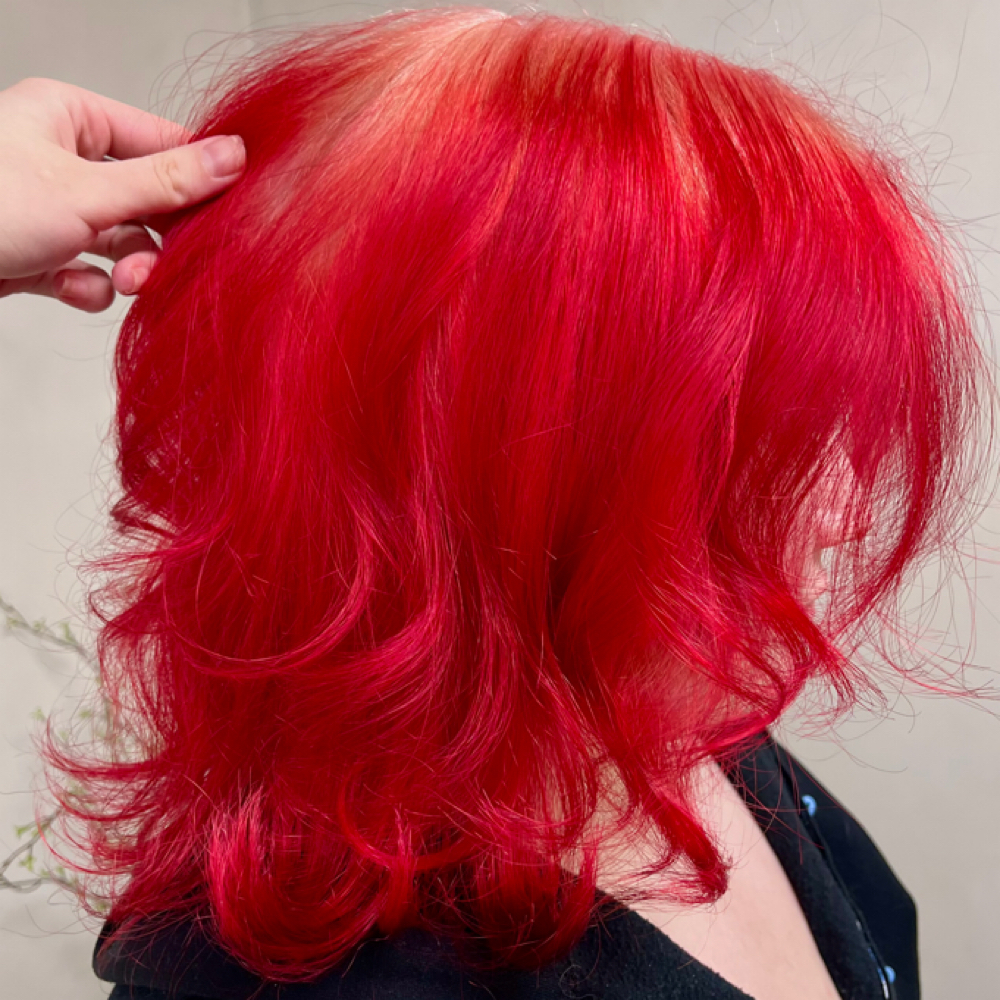 Vivid color w/ lightener retouch at DyeHardCali in Alliance, OH