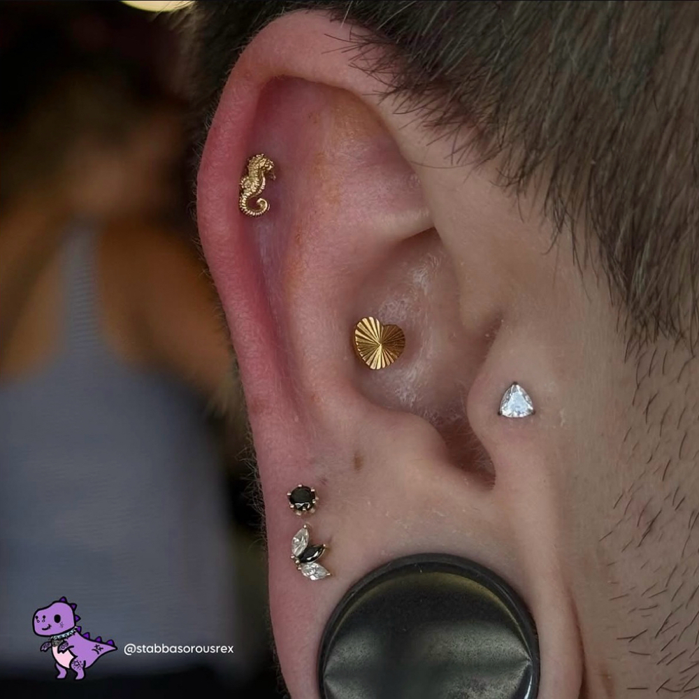 14g Labret (ear, lip, nostril) at Vita Aurelia Piercings in Temecula, CA
