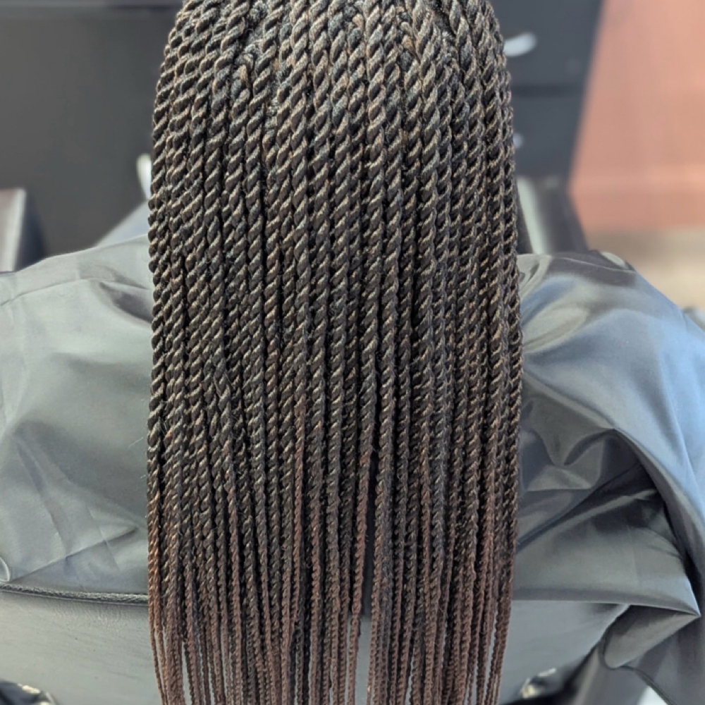 Small Senegalese Twist at Crowned By Braids in Tonawanda, NY