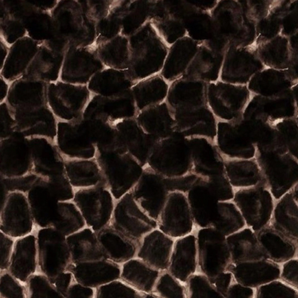 Root Touch Up (grey coverage) at Alter + Blend in Grand Blanc, MI