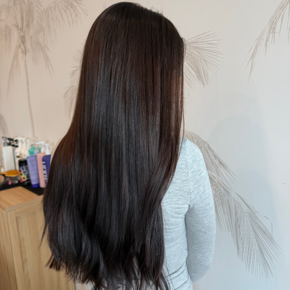 All Over Color with Grace at Jackie Vay Hairstylist in Rochester, NY