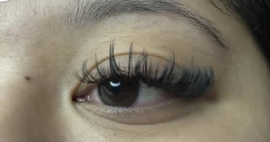 Volume at MU BeautyTrades in Rochester, NY