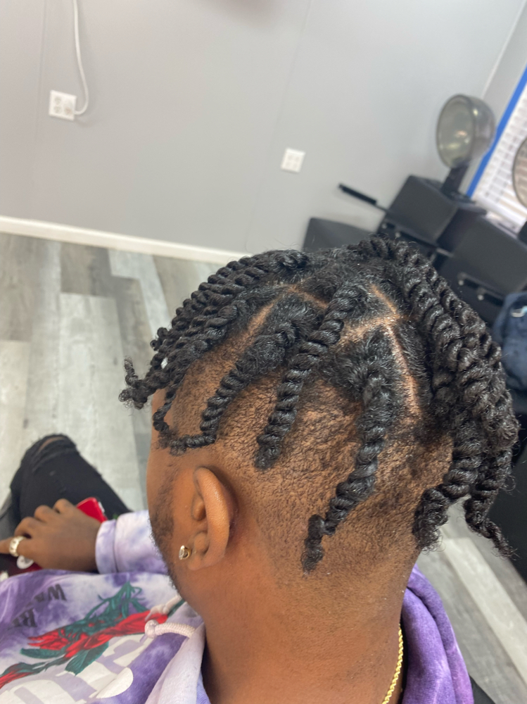 Two Strand Twist