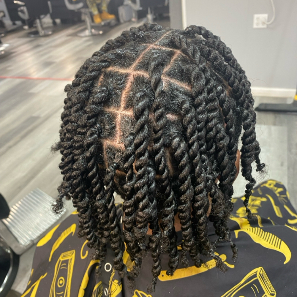 Two Strand Twist at LuxuryCrownsbyTre LLC in Monroeville, PA