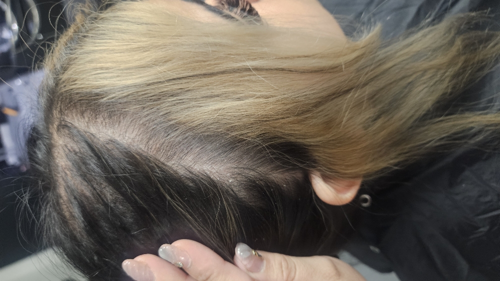 Halo (Dual) Touch Up