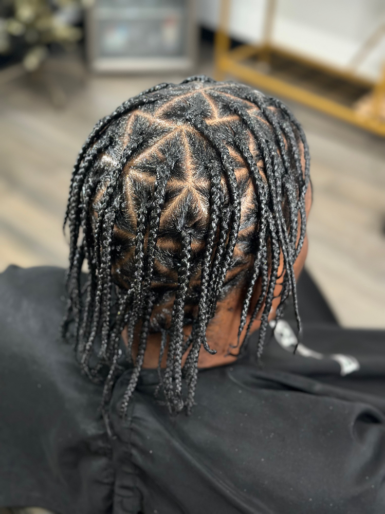 Plaits or Two strand twists