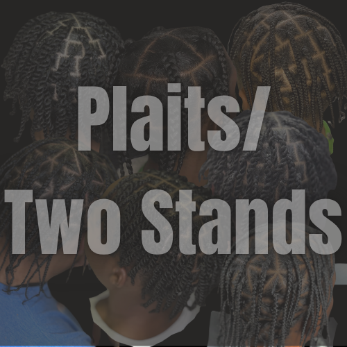 Plaits or Two strand twists