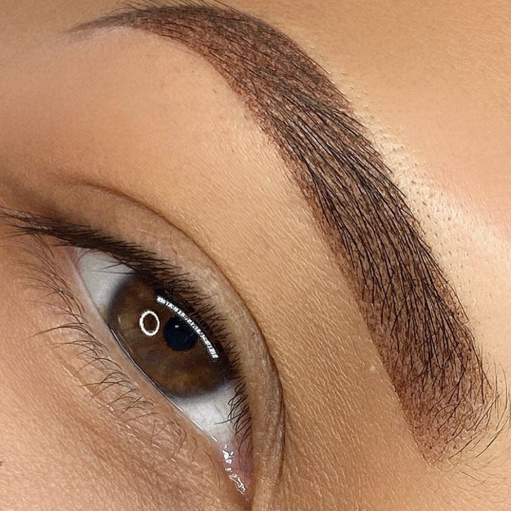 Powder Ombre Brow Tattoo at Brows by Amy T. in Bradenton, FL